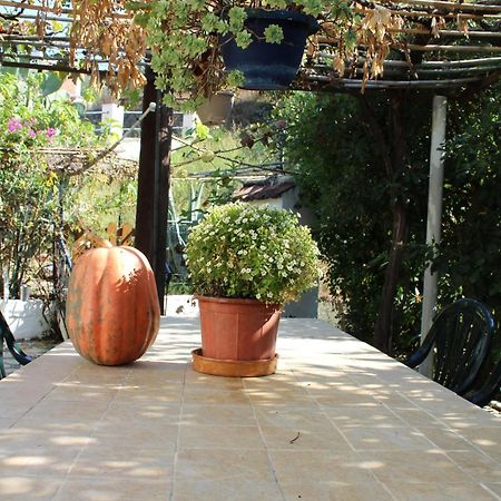 Villa Marina Агиос Георгиос Пагон Екстериор снимка